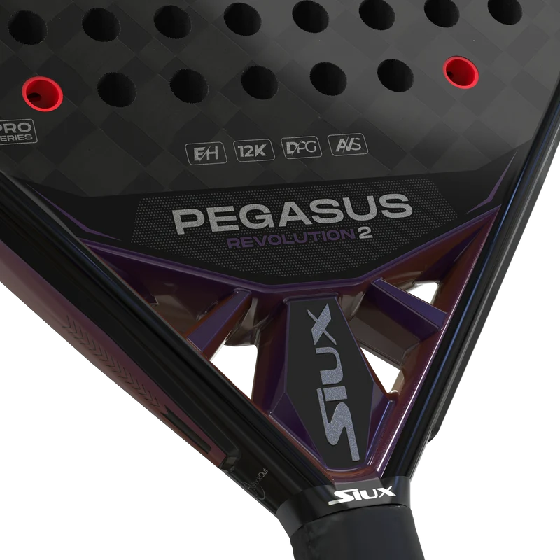 Siux Pegasus Revolution 2