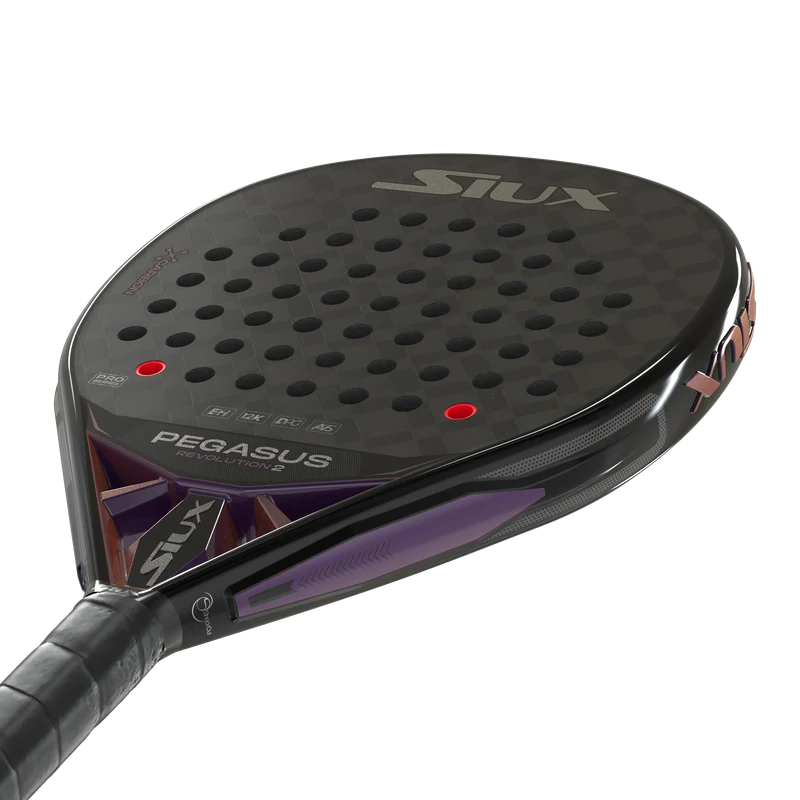 Siux Pegasus Revolution 2