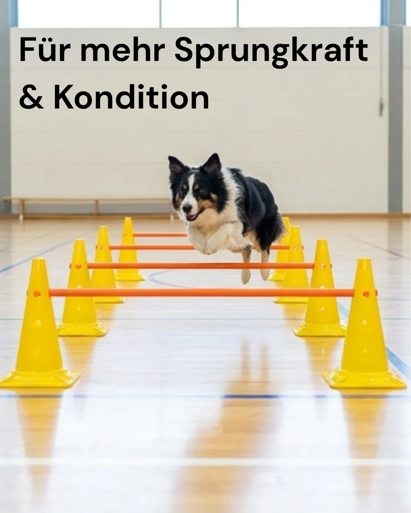 Markierungsstange - 100cm - orange