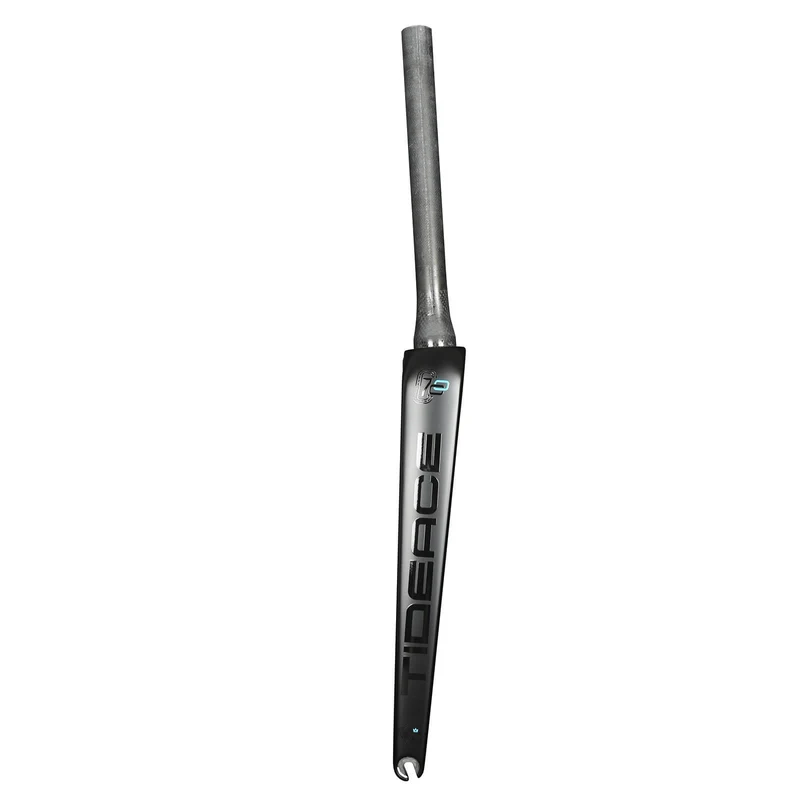 R053V Carbon-Rennrad-Gabeln QR 700*32C