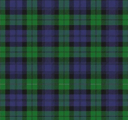Hocsocx Blue Plaid Sock