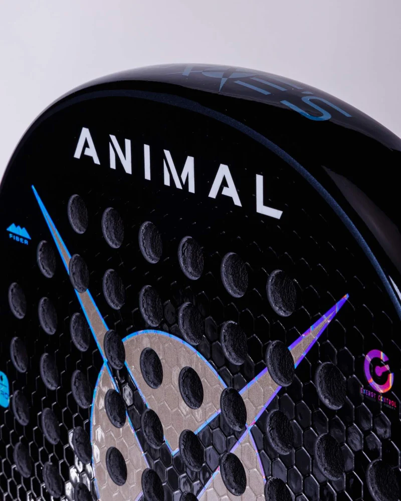 Heroes ANIMAL 2025