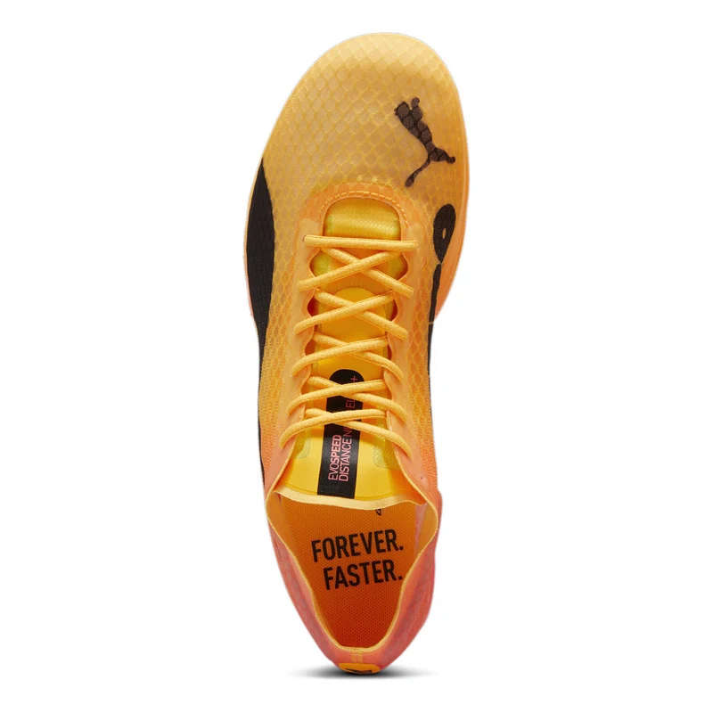 EvoSPEED Distance Nitro Elite+ 4 Spikeschuh-Orange,Schwarz