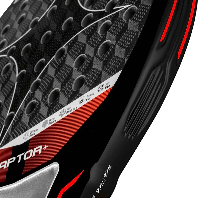 STARVIE RAPTOR + 2026 (Pala)