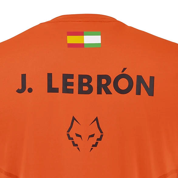 Babolat Men's Replica Lebron Tee Red Orange