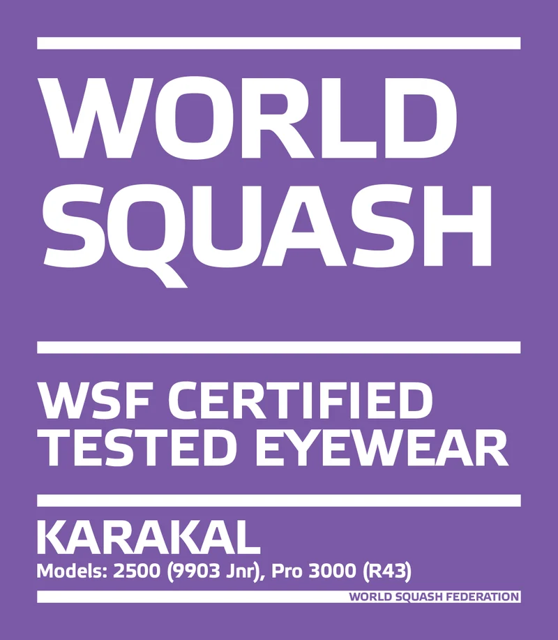 Karakal Pro 3000 Squash Eyewear Green