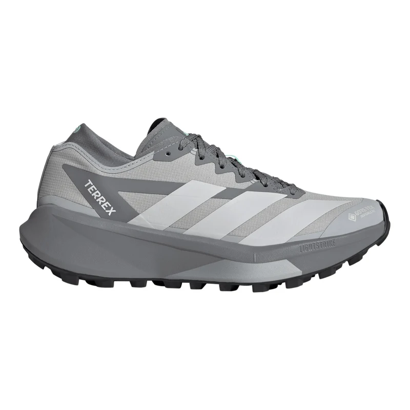 Terrex Agravic GTX 2 Trailschuh Damen - grau, grau