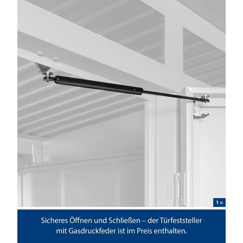 Set Berry Modern-P,Typ1 Gerätehaus-Weißaluminium