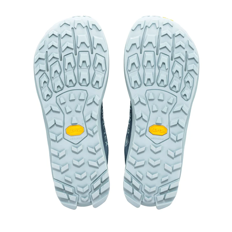 Lone Peak 9+ GTX Trailschuh Damen - blaugrau, blau