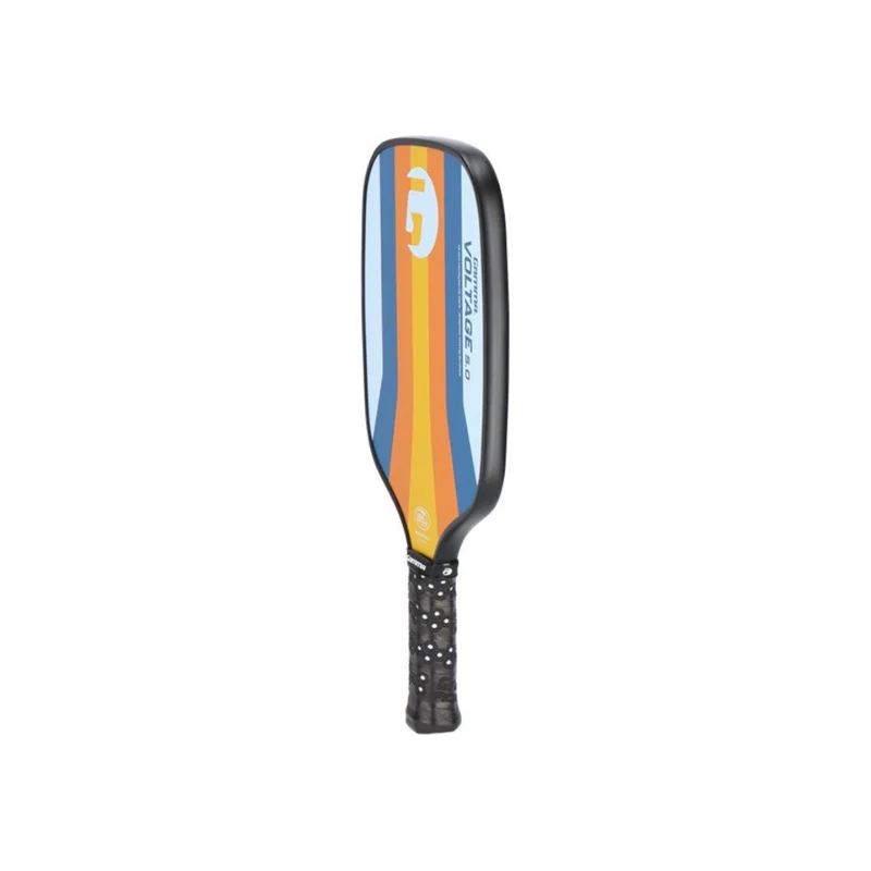 Paddle Voltage 5.0