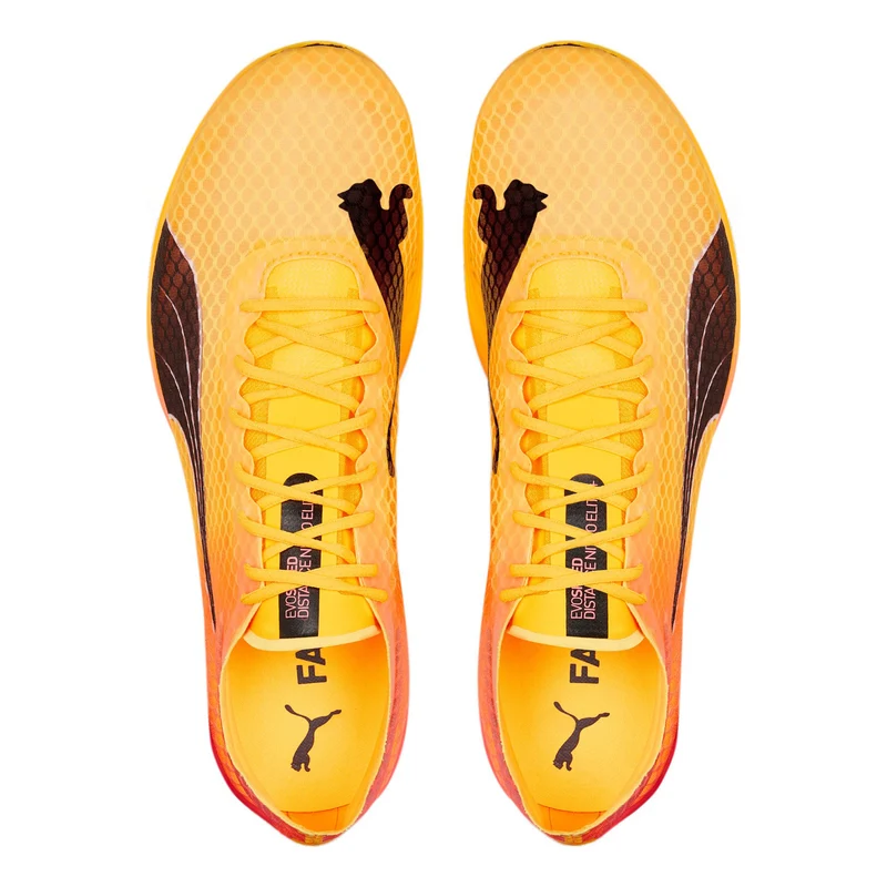 EvoSPEED Distance Nitro Elite+ 2 Spikeschuh-Gelb,Orange